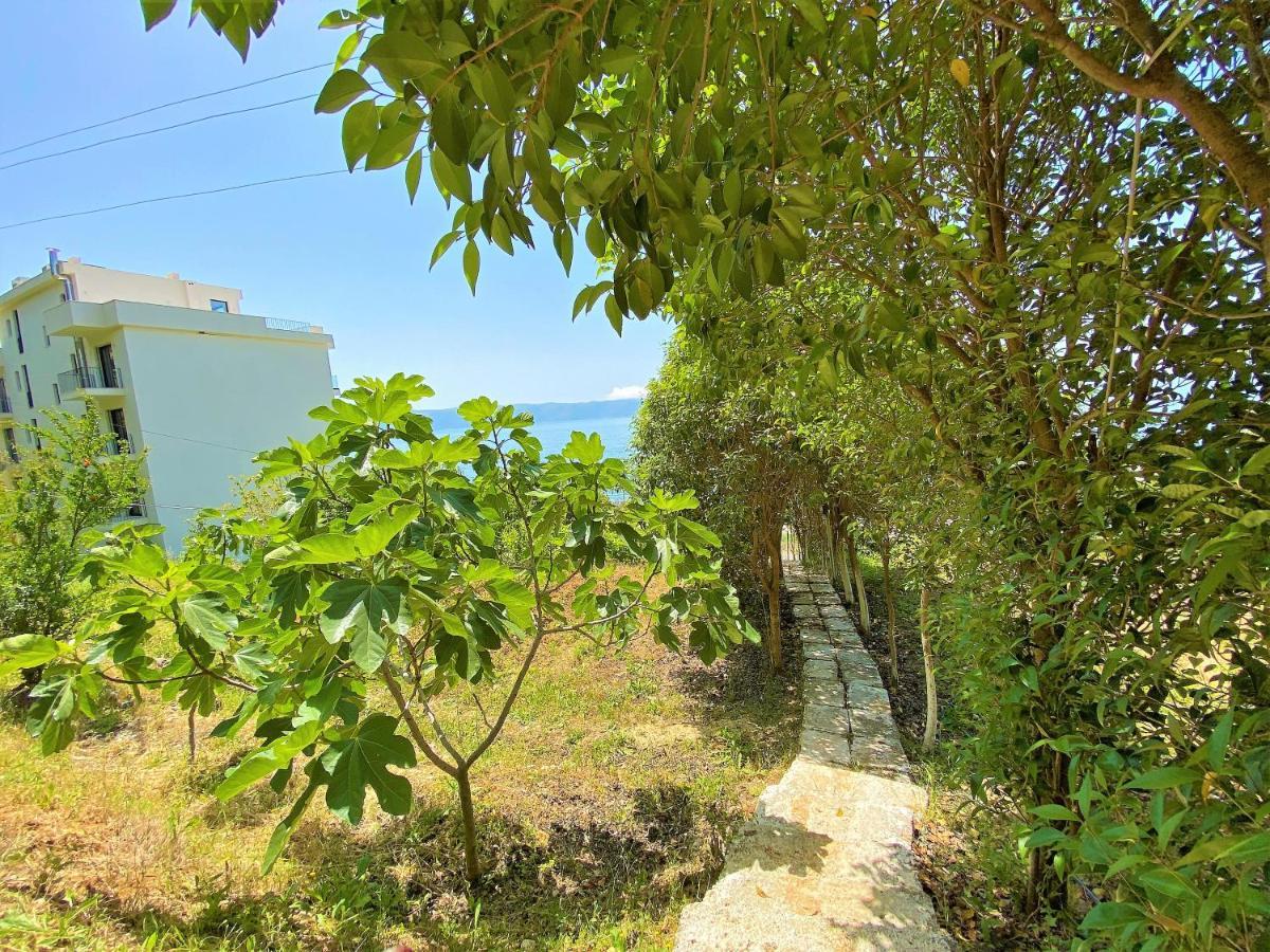 Ramo'S Cozy Beachside Haven With Panoramic Views - 2Nd วญอเรอ ภายนอก รูปภาพ