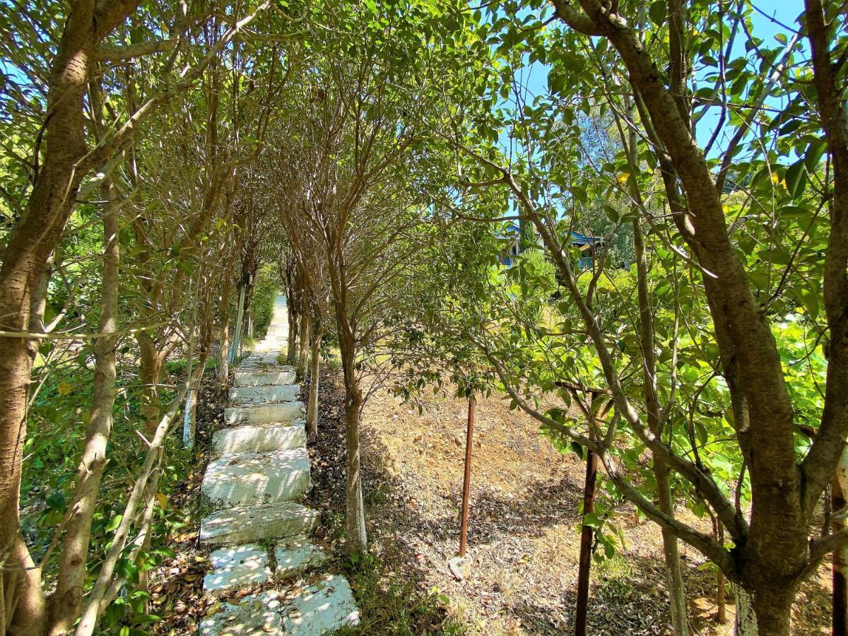 Ramo'S Cozy Beachside Haven With Panoramic Views - 2Nd วญอเรอ ภายนอก รูปภาพ